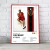 Cuadro Music Collection | Bruno Mars - tienda online