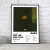 Cuadro Music Collection | Drake - tienda online