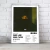 Cuadro Music Collection | Drake en internet