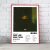 Cuadro Music Collection | Drake - comprar online