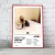 Cuadro Music Collection | Sabrina Carpenter - Kairos Design