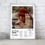 Cuadro Music Collection | Taylor Swift en internet