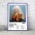 Cuadro Music Collection | Sabrina Carpenter - tienda online