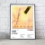 Cuadro Music Collection | Soda Stereo - Kairos Design
