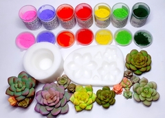 KIT SUCULENTAS -AR0908- - comprar online