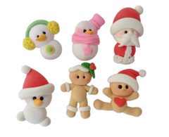 AR0089 JENGIBRE Y NIEVE MINI APLIQUE