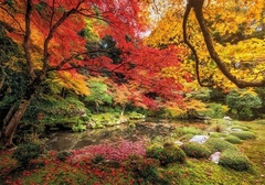 31820 Rompecabezas Puzzle Clementoni 1500 Piezas Parque en Otoño "SOBRE PEDIDO" - comprar en línea