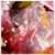 The icon for her EDP - ANTONIO BANDERAS - Cosmeteka