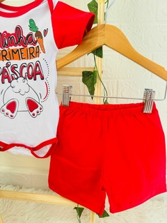 Conjunto Bory Coelhinho Pascoa Cod 192 na internet