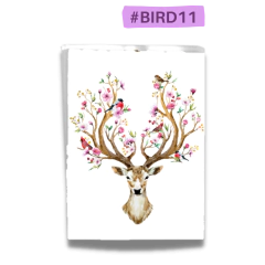 #BIRD11 - Folha de Açúcar - COLEÇÃO PÁSSAROS