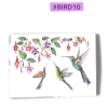 #BIRD10 - Folha de Açúcar - COLEÇÃO PÁSSAROS na internet
