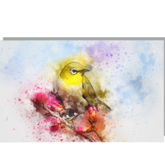 #BIRD03 - Folha de Açúcar - COLEÇÃO PÁSSAROS - comprar online