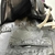 Mochila Quechua Forclaz 22 Air Decathlon - Bazar Gerando Falcões | Loja On-line