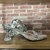 Sandália Com Pedrarias e Salto Taça Carmen Steffens - comprar online