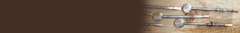Banner da categoria Alpaca