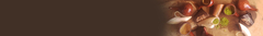 Banner da categoria Pegador de Erva