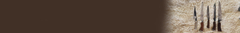 Banner da categoria Forjadas
