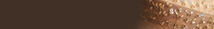 Banner da categoria Pingente de Bomba