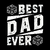 Camiseta Best Dad Ever d20 - Dia dos Pais - loja online