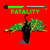 Camiseta Natal Fatality Cat - Natal