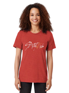REMERA STRAY KIDS 02 - tienda online
