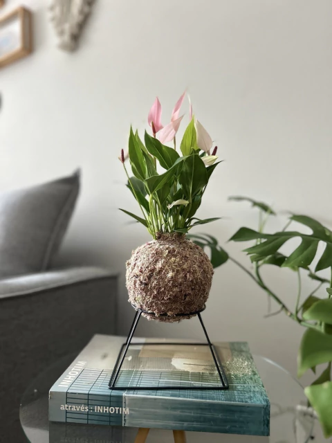 Suporte Avanhandava - comprar online