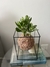 Mini Jade - comprar online