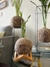 Mini Bambu da sorte - comprar online