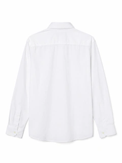 CAMISA SOCIAL MANGA LONGA LACOSTE (GG) na internet