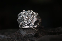 Anel Carpa na internet