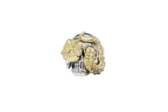 Imagem do Anel Costumes