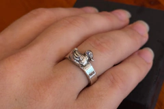 Anel Pato na internet