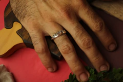 Imagem do Alianças Fire