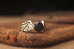 Asas de Morcego na internet