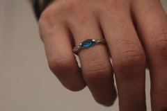 Ramo Navete na internet