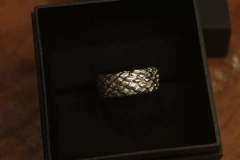 Imagem do Escamas de Dragão