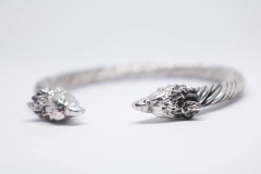 Brac. Harpia na internet