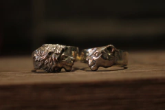 Alianças Simba e Nala