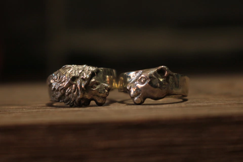 Alianças Simba e Nala