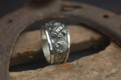 Astronauta na internet