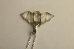 Imagem do Véu da noite