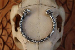 Brac. Skull na internet