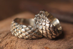 Alianças Escamas de Dragão