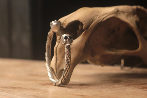 Brac. Skull com pedra