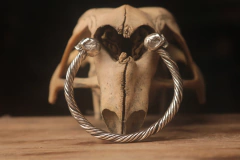 Brac. Skull com pedra
