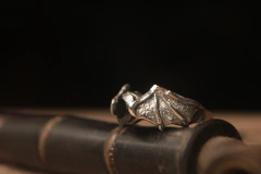 Imagem do Asas de Morcego