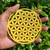 Imagem do Mandala Flor da Vida de Madeira com Cristais 10cm