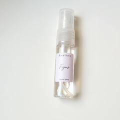 Mini Home Spray