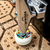 Skate Montado Profissional Maple Ever Skateboarding Genuine Symbol Black 8.0" - Ever Skate Shop