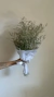 Limonium - comprar online
